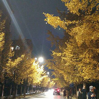 ����·ҹ��