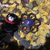 �е���Ҷ����ĸо�