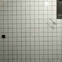 �Լ����Ŷ������������