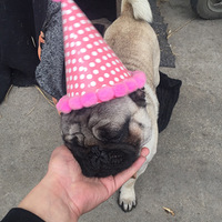 С�͸磬��Ů���ѡ�