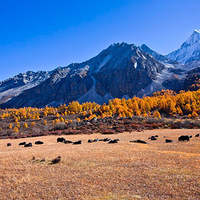 �����Ƕ�������һ����Ϳ�����µ���ȥ������