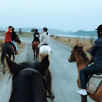 ���μ���������