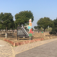 ̤����̤����̤����