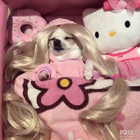 ���������ճ���