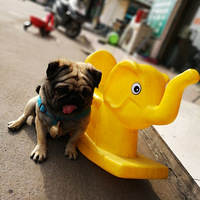 ���������˰�