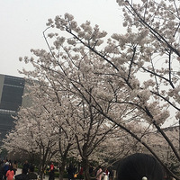 ������ôС��լ�˼����£��ѵó���ȥРРù