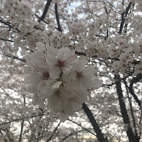 Ҳǿ˻ӣ