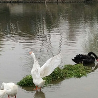 3ȥĶ+ ͬôѧ㽭ѧԺӣ
