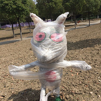 �Ա���ɹ̫��