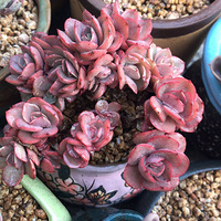 4��̤��ȥ����ҼҾ��Ǵ���