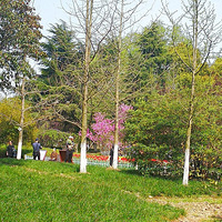 Ũ��Ĵ�����Ϣ