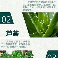 24��������װ��ռ䣬���ܾ���������ֲ�װ�޺�Ӽұر�Ŷ��