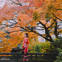 �����Ż�ɴȥ���С���ĩ�вʵ�