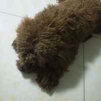 ����˵����̩�ϣ�����ô��ô�����أ�