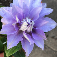 �����������ã�Ժ����Ļ������ˣ������һ��Ŀ�ݣ����������