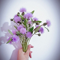 ҹ�ڷ�ߣ�һ�����ܳ�ȥ��Ұ������