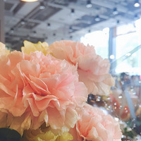 ĸ�׽ڲ廨� �������