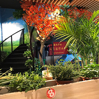 �þ�û��ȥ������տ�����