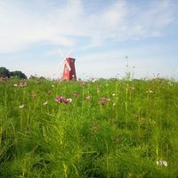 ˯��˭���ᣬ���Ҹ��õط�˯