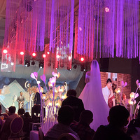 �������Ľ�顿С���������ܰ�Ļ����¼