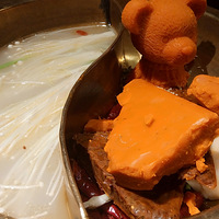 ��������ÿ�ܳ����ҡ�---���