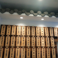 ��������ÿ�ܳ�����---±ζ    ��Ĳ���Ŷ