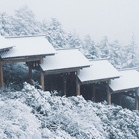 �������ȫ����·������Ϊһ�����ӣ��ѱ༭��PICK �żμ�