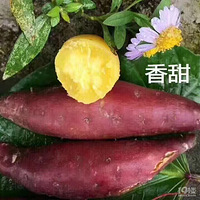 ��������С�����������ĺ����