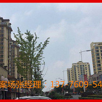 ̫�֡������ƹ��ݡ�13776095425�ٷ�ֱӪ����