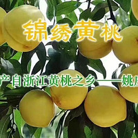 8�£�Ҧׯ���ң��ƻƵģ�����Ŀ�����