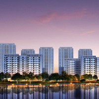 ��ï��ʱ��4S����ˮ�� | �Ƿ��߶ȣ��¾���������