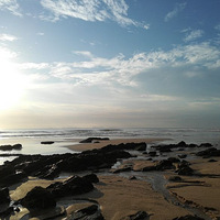 ������Ķ�������