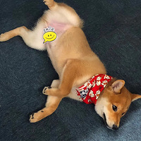 ڳֺ2ͻϸСľ