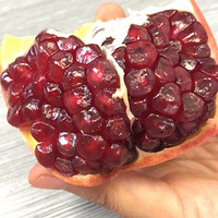 �����ʯ��ļ���