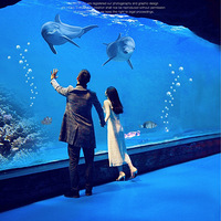 ����ɹ�����Ļ�ɴ������