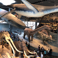 һˢ�Ϻ���Ȼ�����