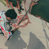 ������ĩ��һ��