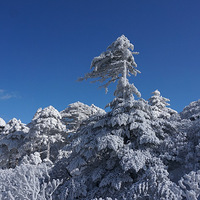 ���ÿ����鱦ɹ����������--�����ֵ����У�һ·���ʣ�һ·����