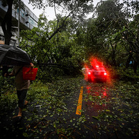 һ������ұ����ܡ�����С�类����������Ȧ�贫��ͼ����Ƶ�Ǽٵ�