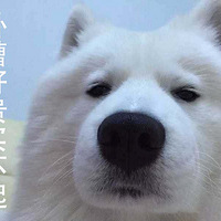 ���鹥�� �������ܱ�ƪ �����᲻�óԵ��Ļ��񵰸�