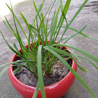 �������ֵľ²������Է����̶�ѿ�������ַ��ĵ���ɫʳƷ������