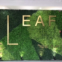 ���Ƽ�һ�ҵ꡿��releaf���ɲ���