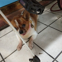 ˭�ҹ������ˣ������������ݳ����ſڣ����ڵ�����