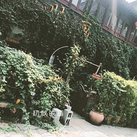 ���е���󣬺�ͬƵ������