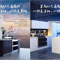 ���쳤�٣�ѡ���������й��ԣ�����������