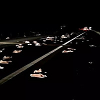 ���ˣ����ٹ�·ͻ�֡�������������ʲô�ý�����һ�Ѻ���