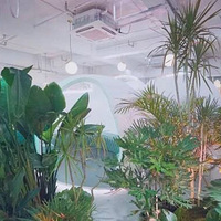 ����ʥ�ر�ŷins��������ʳ����������Ӿ���ζ��