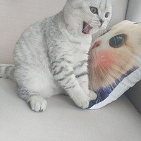 ʺ١һη