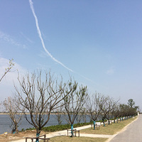 塰㡱