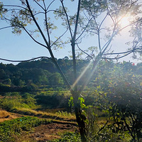 ����Զ�����ݣ�������ĺôΣ��������ı���